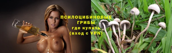 синтетический гашиш Алексеевка