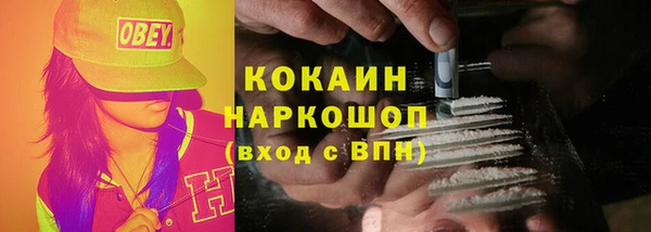 гидра Алексин