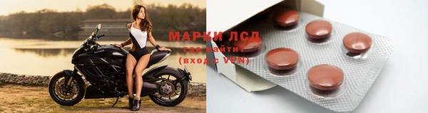 гидра Алексин
