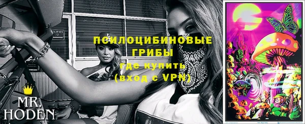 тгк Абаза