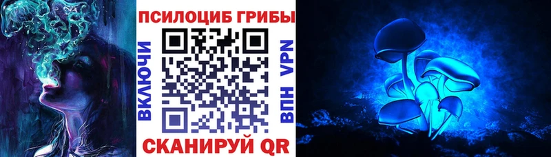 дарк нет как зайти  Шилка  Псилоцибиновые грибы Psilocybe 
