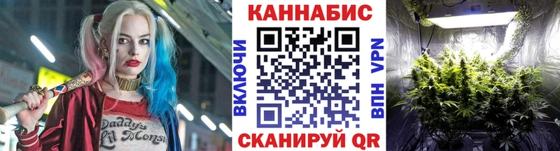 Марихуана план  Шилка 